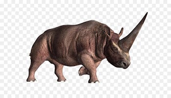 Elasmotherium Horn Unicorn Prehistory Woolly rhinoceros - Rhino Creative 