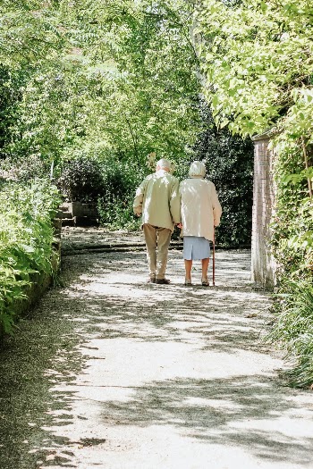 Elderly couple taking a walk through the park. Arboretum Trompenburg, Rotterdam.