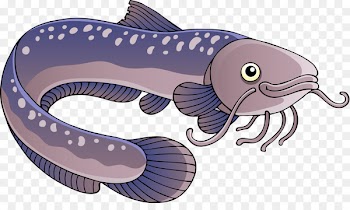 Electric eel Clip art - eel 