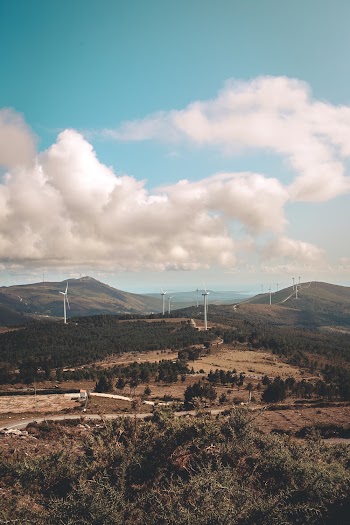 Electric Windmill and Trees Under Blue Sky