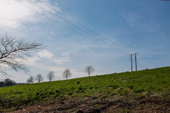          Electrical Wires Free Photo     