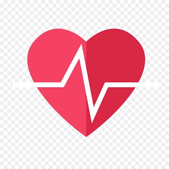 Electrocardiography Heart rate monitor Pulse - ecg 