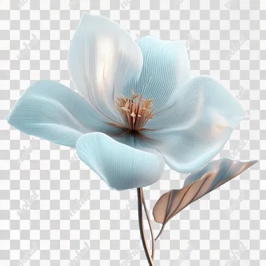 Elegant 3D Flower Model with Transparent Texture