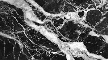 Elegant Black and White Marble Texture