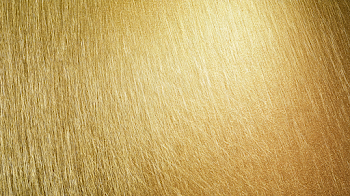 Elegant Brushed Gold Metal Texture