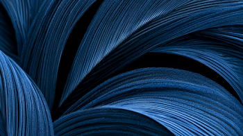 Elegant Deep Blue Feather Texture