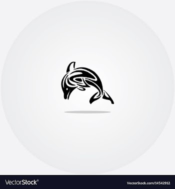 Elegant dolphins vector image