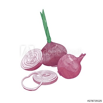Elegant drawing of cut and whole red onion