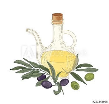 Elegant drawing of extra virgin oil in glass jug, olive tree branches with leaves, black and green fruits or drupes isolated on white background