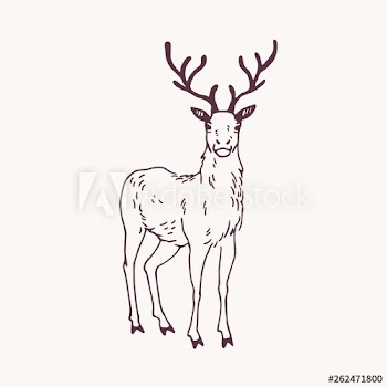 Elegant drawing of standing male deer, reindeer, hart or stag with beautiful antlers