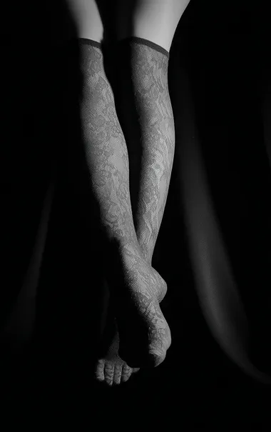 Elegant Female Legs in Sheer Stockings Elegant Female Legs in Sheer Stockings