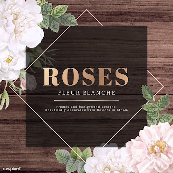 Elegant floral frame | Free stock illustration - 595989