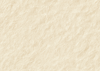 Elegant Handmade Japanese Washi Paper Texture