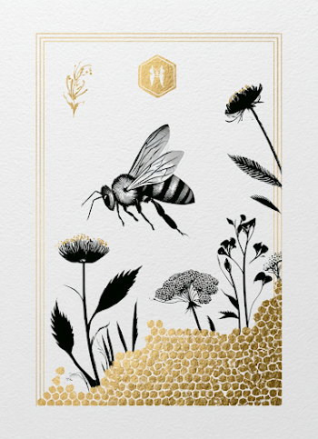 Elegant Honey Bee and Honeycomb Illustration