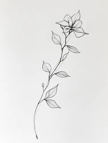 Elegant Jasmine: A Minimalist Line Drawing of Nature