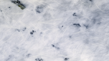 Elegant Marble Surface Backdrop