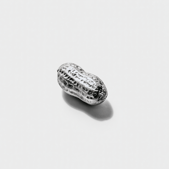 Elegant Minimal Monochrome Peanut Collage