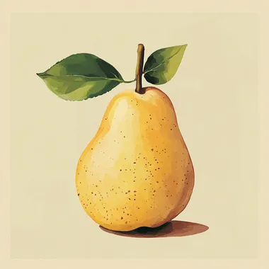 Elegant Minimalistic Pear Illustration Elegant Minimalistic Pear Illustration