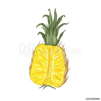 Elegant natural drawing of cut fresh juicy pineapple isolated on white background