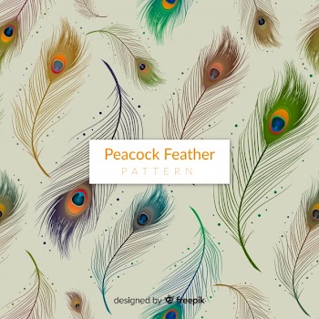 Elegant peacock feather pattern with realistic design Free Vector