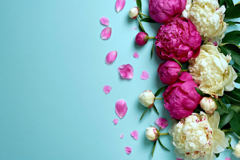 Elegant Peony Floral Arrangement on Aqua Background