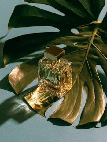 Elegant Perfume Bottle on Monstera Leaf