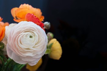 Elegant Ranunculus Flower Arrangement