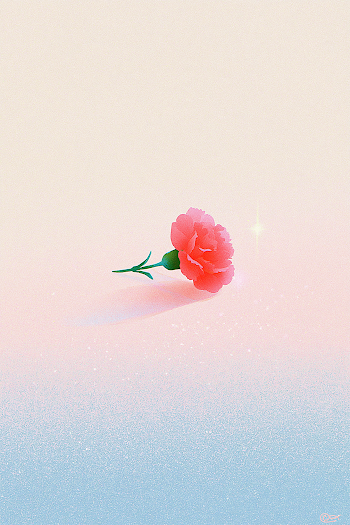 Elegant Red Carnation on Ivory Background