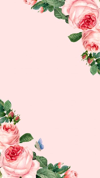 Elegant rosy design space | Free stock vector - 681553
