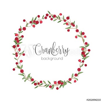 Elegant round wreath or circular frame made of cranberry sprigs hand drawn on white background