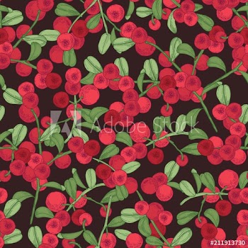 Elegant seamless pattern with arctic lingonberry on dark background