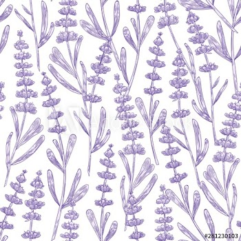 Elegant seamless pattern with lavender flowers hand drawn on white background