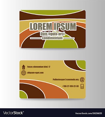 Elegant template business card vector image
