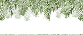 Elegant Tropical Botanical Watercolor Banner