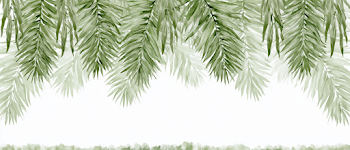 Elegant Tropical Botanical Watercolor Banner