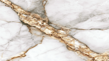 Elegant White Carrara Marble Slab Surface