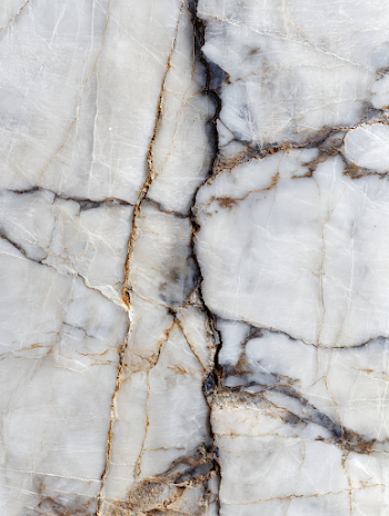 Elegant White Marble with Dark Veins