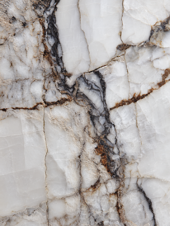Elegant White Marble with Dark Veins
