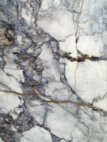 Elegant White Marble with Intricate Veins