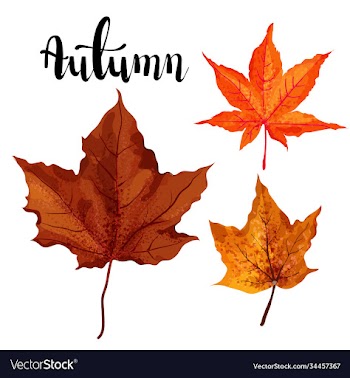 element autumn social media post