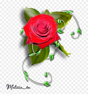 Element Rose With Leaves And Swirl Png By Melissa-tm - Rose Photo Frame Png
