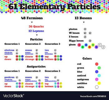 Elementary parcticles infographics vector image