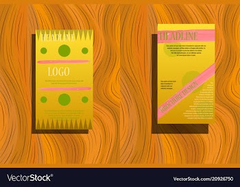 Elements of infographics for presentations vector image