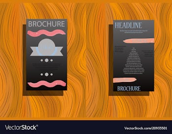 Elements of infographics for presentations vector image