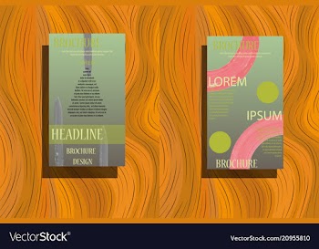 Elements of infographics for presentations vector image