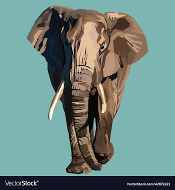 elephant