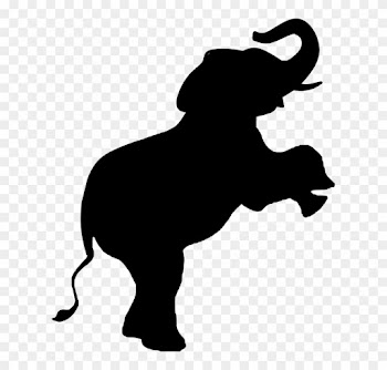Elephant, Animal, Mammal, Wild, Wildlife, Nature, Zoo - Endangered Species