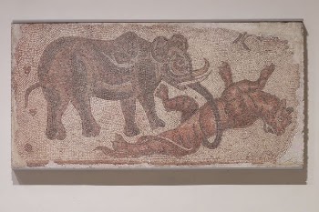 Elephant Attacking a Feline during late | Free Photo - rawpixel