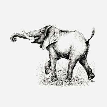 Elephant clipart, vintage animal, wildlife | Free Photo - rawpixel