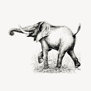 Elephant clipart, vintage animal, wildlife | Free Vector - rawpixel